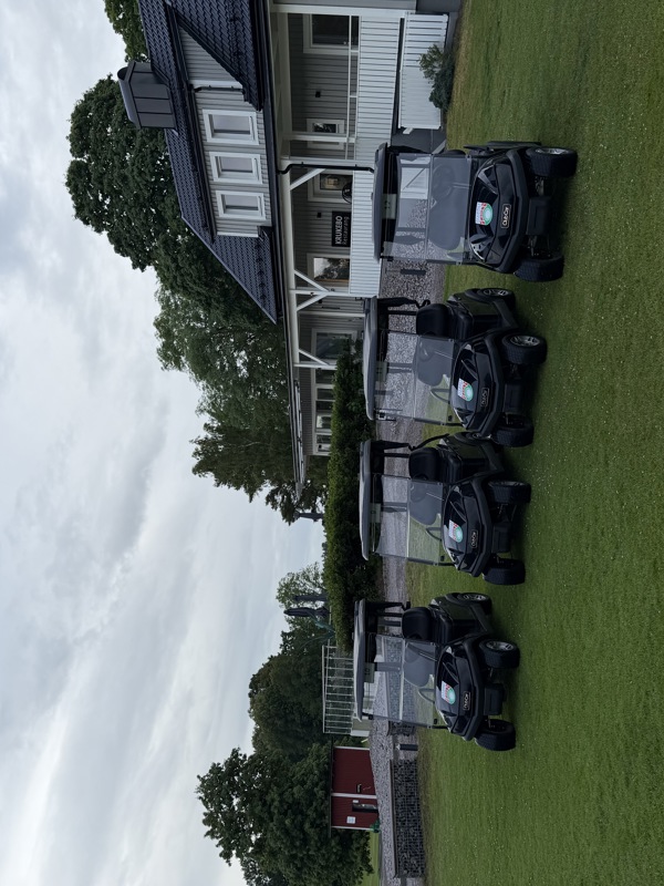 Golfbilsförbud